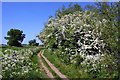 The Thames Path to Benson Lock