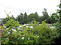 The railway station glimpsed through the trees