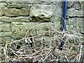 Benchmark on outbuilding at Browna Paddocks