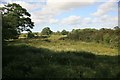 Pasture Land by Heale bridge  