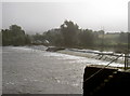 Saltford weir in September mist