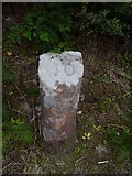 NR8948 : Milestone 40, Craw, Isle of Arran by Becky Williamson