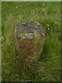 Milestone 31/30?, Machrie, Isle of Arran