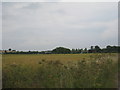 Looking towards Kettleby House