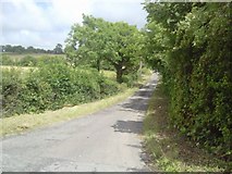 O1758 : Country Road, Co Dublin by C O'Flanagan