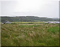 NM3818 : Meadow at Uisken by C Michael Hogan