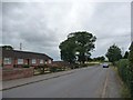 Bungalows on Butt Lane