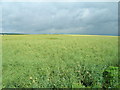 Farmland near  Rayslack House