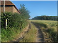 Stour Valley Walk towards Fordwich Farm