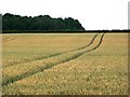 SE4676 : Tracks in the wheat by Christine Johnstone