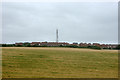 Newhaven transmitter tower