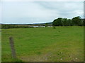 Grazing land at Aitnoch