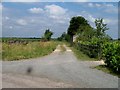 Bridleway meets road