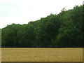 Plantation near Shardale