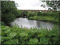 Approaching Yarm Viaduct