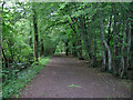 TQ2747 : Footpath through the woods by Robin Webster