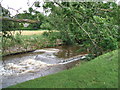 Weir on the Eden