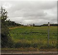 Field at Stanley Gate