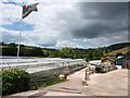 Greenhouses at Whelman Pinks nursery in the Dawlish Water valley