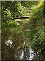 Woodland footbridge and stream on northern edge of Wadeford