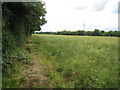 Crop Field off Wootton Lane