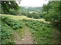 Footpath through fields above the Afon Elwy