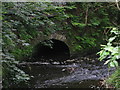 Old Bridge Arch at Magdale