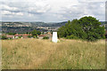 Twerton Roundhill in Bath