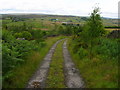 Track above Hard Nesse Clough