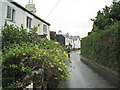 Cottages and honeysuckle, Broadhempston