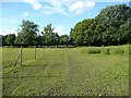 Non-definitive footpath to Buck Wood, Thackley