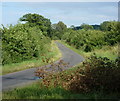 Country lane towards Little Gringley