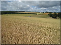 Wheat Field at Malmain