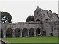 G8002 : Boyle Abbey from the cloister by Christopher Hilton