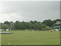 Cricket Pitch - off Southgate