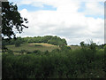 Motocross course below Roundhouse Wood