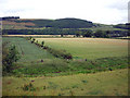 Fields near Newstead