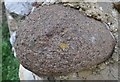 TM4464 : Granite Boulder by Ashley Dace