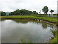 Duck pond near The Bay Horse