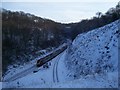 Railway cutting near Bradway