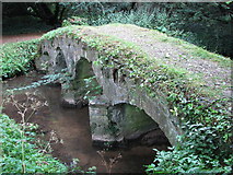 TF9336 : The pack-horse bridge in the priory gardens at Walsingham by Sarah Charlesworth