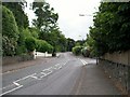 Bryansford Road near its junction with Tollymore Road