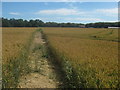 Footpath towards Kingswood Farm