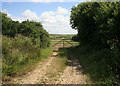 Through a Cornish gateway 