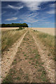 TL8048 : Footpath to Easty Wood and Fenstead End by Bob Jones