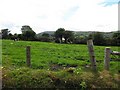 Straletterdallan Townland