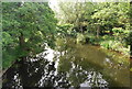 River Wensum from Hellesdon Bridge