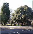 Northeast corner of Grange Gardens, Grangetown, Cardiff