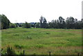 Meadow on the flood plain of the River Wensum