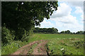 Cullompton: edge of Blackpark Wood